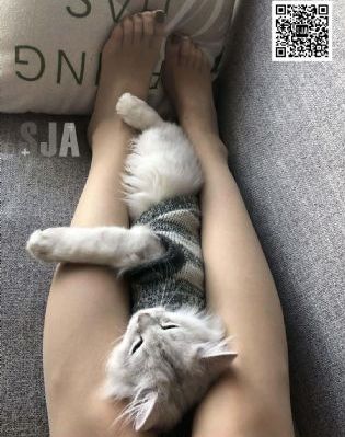 【淫印天使】（第二部）（47）